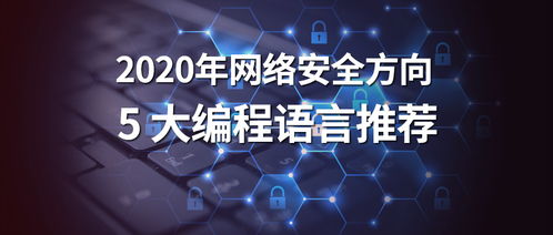 2020年網(wǎng)絡(luò)安全領(lǐng)域最值得學(xué)習(xí)的5大編程語(yǔ)言推薦